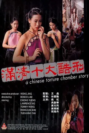 A chinese torture chamber story